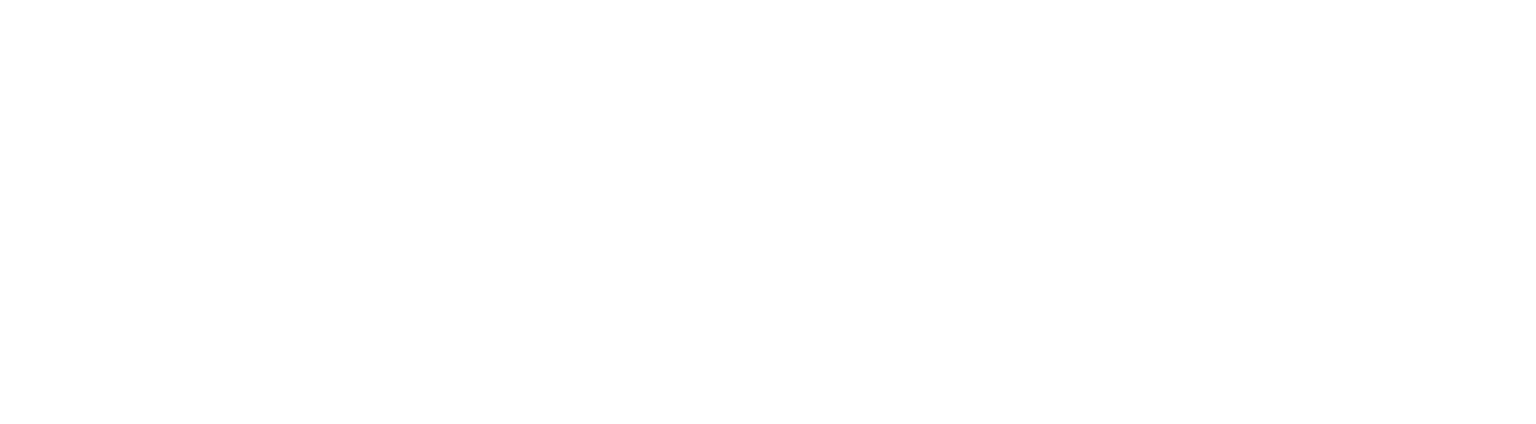 Nolwen Logo